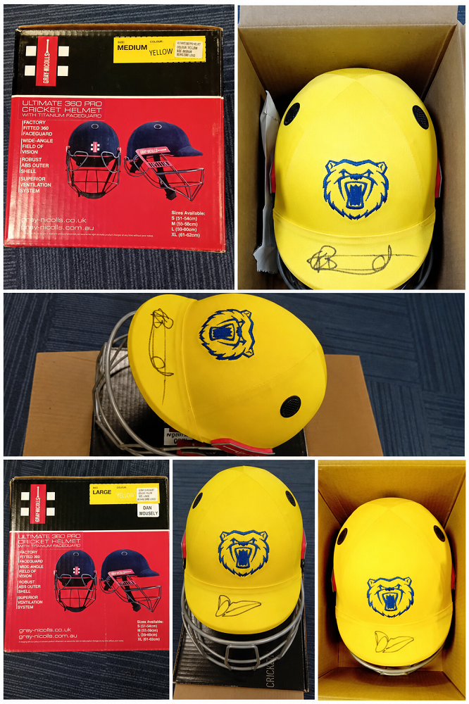 Mascout Image