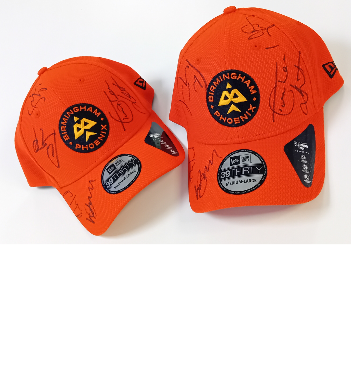 Mascout Image